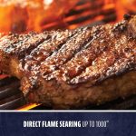 Pit Boss 850 Navigator Series Wood Pellet Grill & Smoker - 932 Sq In with WiFi/Bluetooth & Flame Broiler - 11111 - Image 9