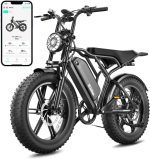 TS TST GRP LLC R004 Electric Bike - 1500W Peak Motor with 48V 15Ah Battery & Fat Tires - R004