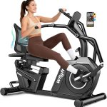 LFEYYD W215 Recumbent Exercise Bike with 16 Resistance Levels & 450 lb Capacity - W215