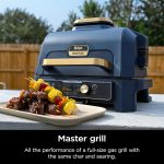 Ninja Woodfire ProConnect Premium XL 7-in-1 Outdoor Grill & Smoker - App Enabled with Woodfire Technology & Built-In Thermometer - OG951BL1 - Image 4